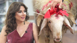 Aksiyon dolu kurban alışverişi!