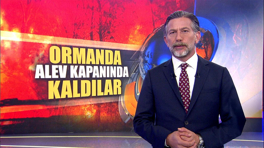 Sakarya'daki orman yangını evlere ulaştı!