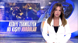 Kediyi tekmeleyen iki kişiyi vurdular!