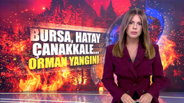 Bursa, Hatay ve Çanakkale'de orman yangını!