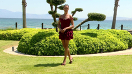 Magazin D Yaz 334. Bölüm
