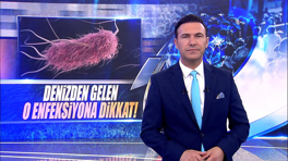 Denizden gelen o enfeksiyona dikkat!