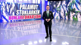 Palamut stoklarken bunlara dikkat edin
