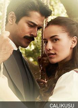 Çalıkuşu