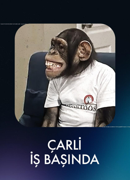 Çarli İş Başında
