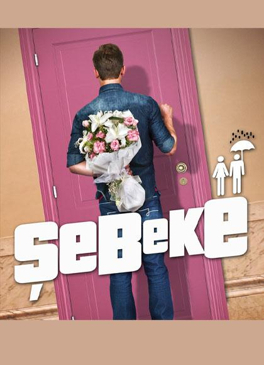 Şebeke