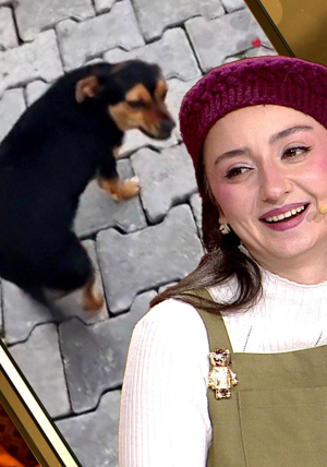 O viral video nasıl ortaya çıktı?