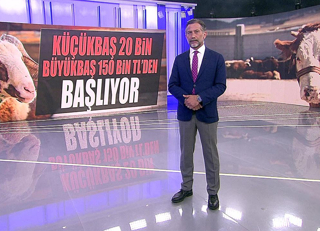 Küçükbaş 20 bin, büyükbaş 150 bin TL'den başlıyor!