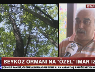 Beykoz Orman'ına "Özel İmar" izni!