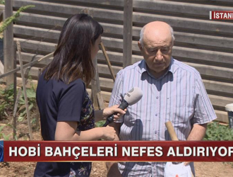 Hobi bahçeleri nefes aldırıyor!