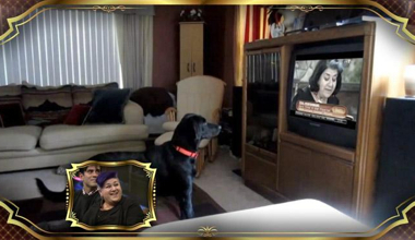 Serra Yılmazın Hayvanlar Üzerindeki Etkisi