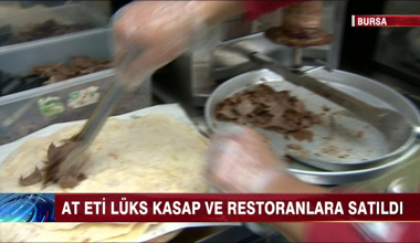 Bursa'daki at eti skandalı