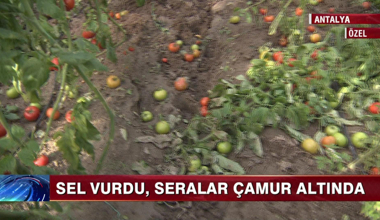 Antalya'da sel seraları vurdu!