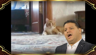 Kubat sesine tepkiler!