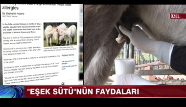 Eşek Sütünün Faydaları!