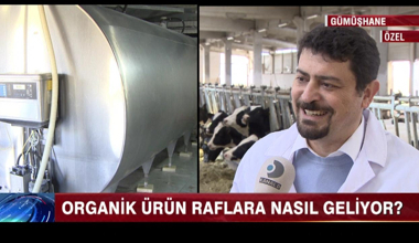 Organik ürün raflara nasıl geliyor?