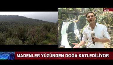 Kaz Dağları'nda yüzlerce ağaç kesildi!