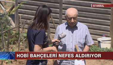 Hobi bahçeleri nefes aldırıyor!