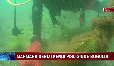 Marmara Denizi'nin son hali!