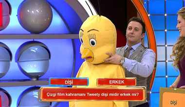 Tweety dişi midir, erkek mi?