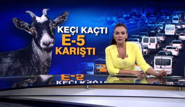 Kurbanlık keçi, E-5'i karıştırdı!