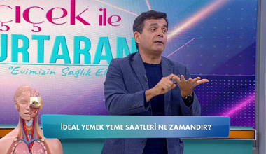 İdeal yemek yeme saatleri ne zamandır?
