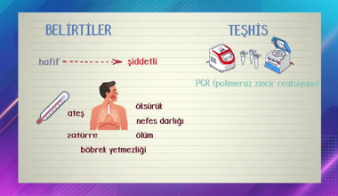 Koronavirüs belirtileri ve tedavi yöntemleri!