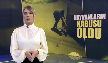 Kanal D Haber Hafta Sonu - 12.12.2021