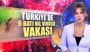 Türkiye'de 6 Batı Nil Virüsü vakası!