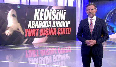 Kedisini arabada bırakıp yurt dışına çıktı!