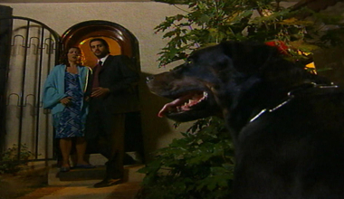 Yılan Hikayesi 64. Bölüm