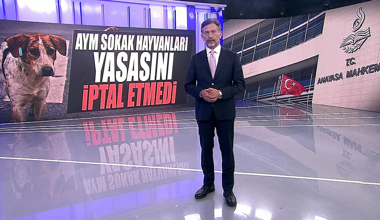 AYM sokak hayvanları yasasını iptal etmedi!
