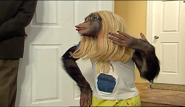 Çarli İş Başında 14. Bölüm