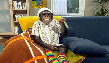 Çarli İş Başında 15. Bölüm