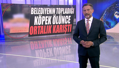 Belediyenin topladığı köpek ölünce ortalık karıştı!