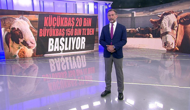 Küçükbaş 20 bin, büyükbaş 150 bin TL'den başlıyor!