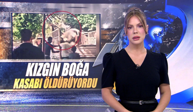 Kızgın boğa kasabı öldürüyordu!