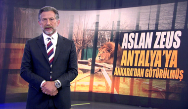 Kanal D Ana Haber - 07.07.2025