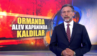 Sakarya'daki orman yangını evlere ulaştı!