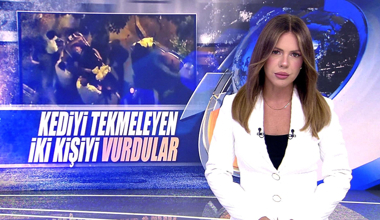 Kediyi tekmeleyen iki kişiyi vurdular!
