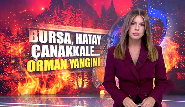 Bursa, Hatay ve Çanakkale'de orman yangını!