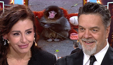 Maymun Punch, Beyaz'la Joker'de soru oldu!