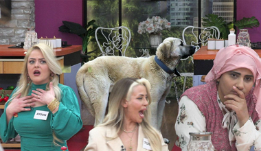 Cemile'nin köpeği ve korku dolu anlar!