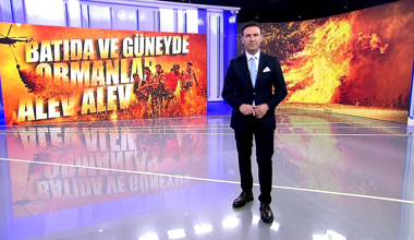 Türkiye'nin ormanları yine alev alev