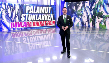 Palamut stoklarken bunlara dikkat edin