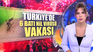 Türkiye'de 6 Batı Nil Virüsü vakası!