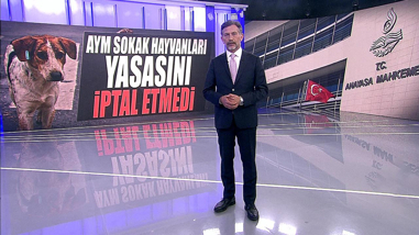 AYM sokak hayvanları yasasını iptal etmedi!