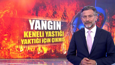 Yangın, keneli yastığı yaktığı için çıkmış!