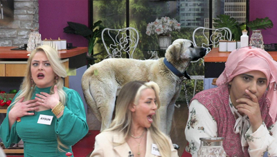 Cemile'nin köpeği ve korku dolu anlar!