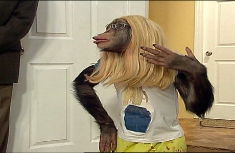 Çarli İş Başında 14. Bölüm